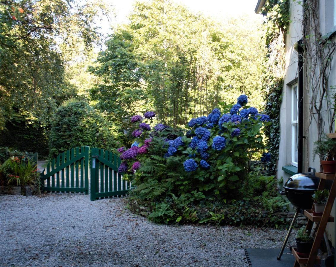Remarkable Apartment In Kenmare Ireland Eksteriør billede